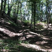 Ennepetal_Auf dem Karstweg_Kalkkuhlen