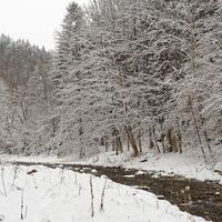 Kleine Raabklamm_Mitterdorf bei Weiz_Oststeiermark 