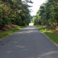 Straße durch die Bokler Berge zwischen Bokel und Nienwohlde