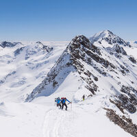 Ankunft auf dem Gipfel des Pizzo Tresero