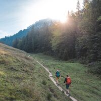Scheffau_Weg Nr. 827_Hochegg_Wilder Kaiser