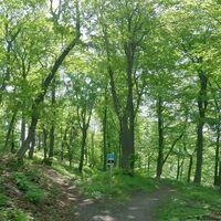 4.2 km Links: schwarz, gerade: blau