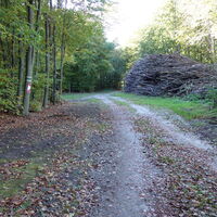 Abstieg Richtung Kühberg