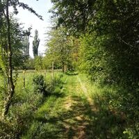 Auf diesem Pfad geht es von der Kapelle...