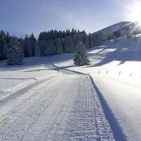 Zwischen Ochsenhofalpe und der Oberen Falzalpe