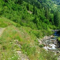 Stallaalm-Runde | Schotterweg 