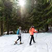mit Schneeschuhen auf der Saualpe unterwegs