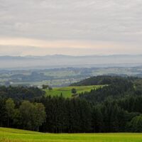 Ausblick