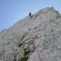 über diese schöne Platte gehts weiter