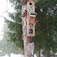 Vogel-Hotel am Hohen Gallin - Ostansicht