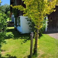 Am Kalkofenweg in Ollarzried