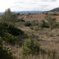 Wanderung der Balkone des Hérault 0007 ©CDRP34