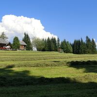 Steinitzenalm