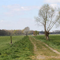 Blick in das Naturschutzgebiet Gahlener Torfvenn