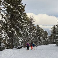Durch die Waldschneise durch bis zur Waldheimhütte