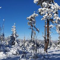 Kammweg Langer Berg Winter