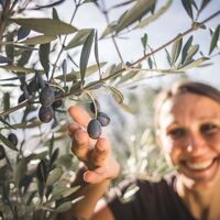 Reife Olive