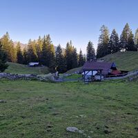Das Rauchälpele auf einer Lichtung