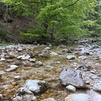 Herrenalmbach