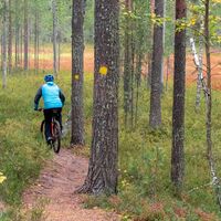 Jyri Trail, am Rand des Hochmoors