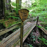 Auf dem Hutpfad