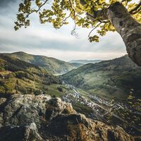 Blick vom Zauberweg auf Schlechtnau