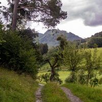 Moor in der Feichtn