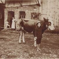 Bauernhof der Färberei Familie Greiner / Spindler