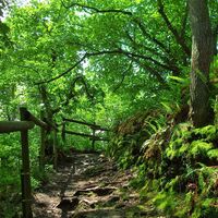 Wanderweg Stachelhardt