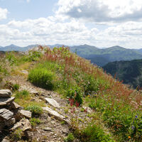 die Hintere Gstemmerspitze ist im Vergleich eher unspektakulär, danach gehts auf einem markierten Steig weiter