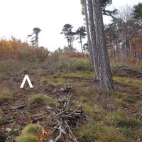 am Riegel am Traktorweg weiter