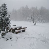 Hohe Mandling - Waldegg