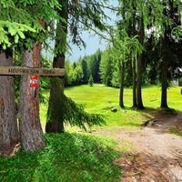 Sehenswertes Flach- und Zwischenmoorgebiet auf ca. 1.500m Seehöhe