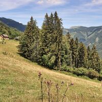 Aussichtsreich - die Almflächen der Aschberger Alm