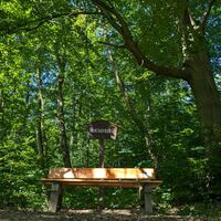 Burgweg mit Brockenblick