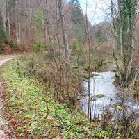 8.0 km Fahrt entlang der Sierning