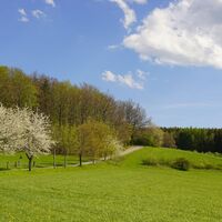Höhenweg zwischen Leubsdorf und Hohenfichte