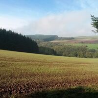 Landschaft auf dem Biberpfad