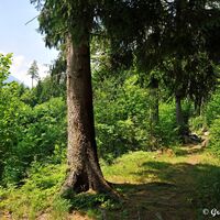 Die Barbarossaschlucht ist Abenteuer, Geschichte und Natur für die ganze Familie. Ein Ausflug lohnt sich also immer.