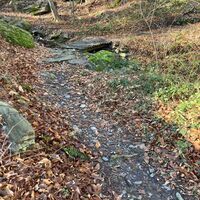 Waldweg in Inverso Pinasca