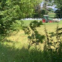 Traktor im Hundsmoor