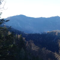 Übergang Ebenwald