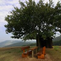 Schutzhütte "Großer Eichelberg" mit Sitzgelegenheit am Rennsteig