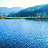 Hafnersee