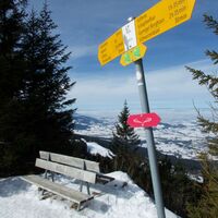 Schneeschuhtrail-Panoramawegtrail