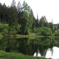 Reuscheltaler Teich