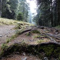 Steyersberger Schwaig - Schöberlrigel - Umschussriegel