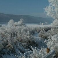 Sielmann-Weiher Winter