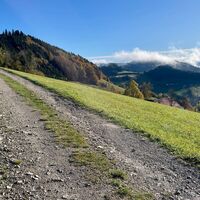 Freithofberg-Trail - Maria Neustift