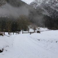 Chinaec im Winter